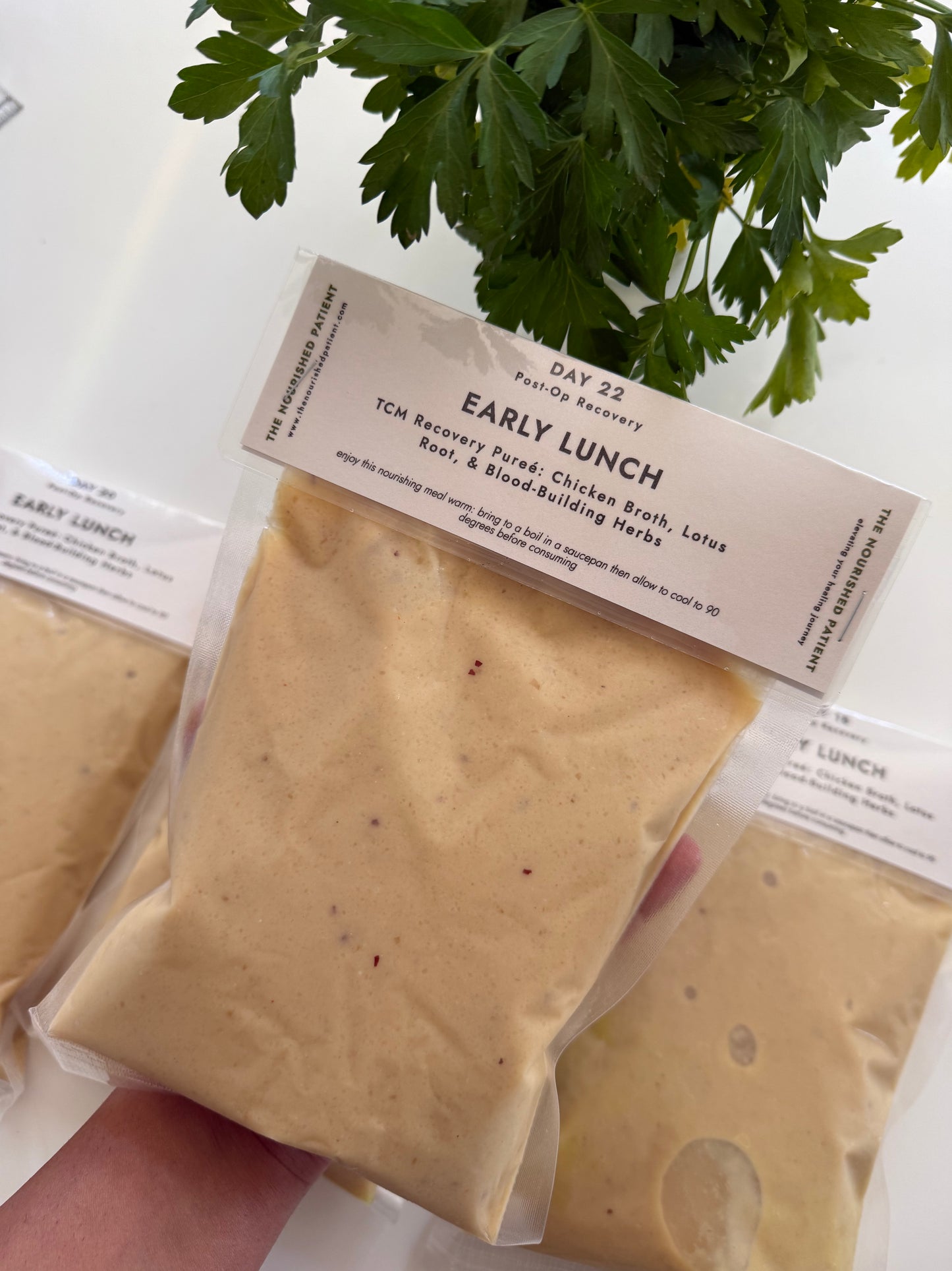Travel-Ready Recovery Meal Program