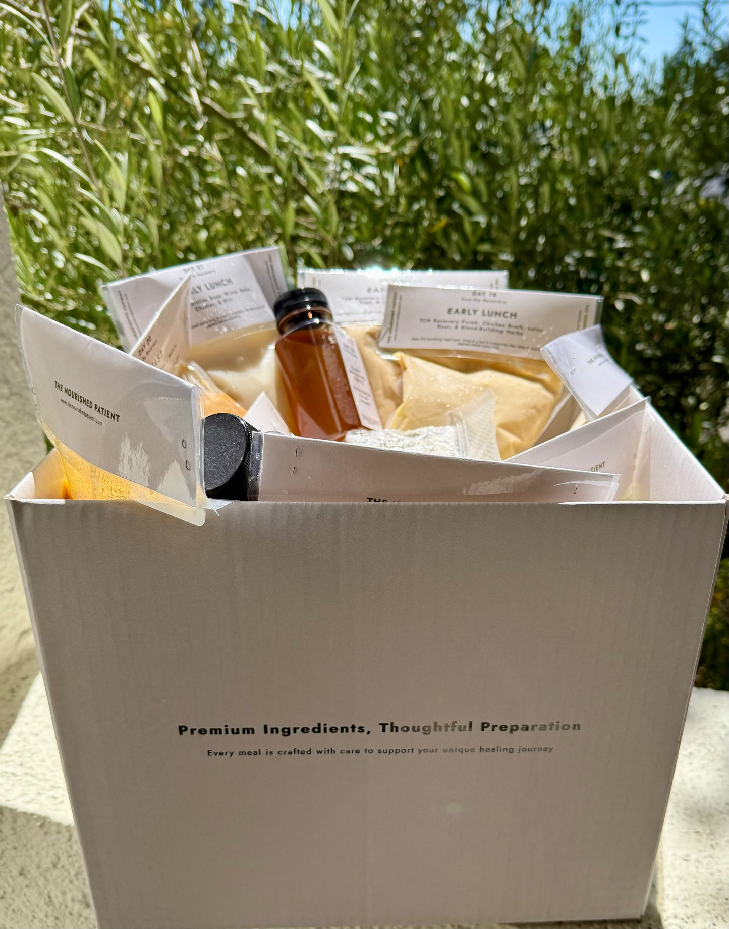 7-Day Facelift Recovery Meal Program